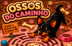 Ossos do Caminho